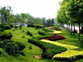 连云港市新增城市园林绿化286公顷