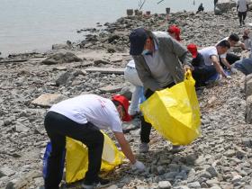 美德之城·志愿同行|世界海洋日 百名志愿者集体净滩