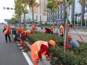 文明实践·时代新风|东海县：绿化带垃圾大清掏 城市颜值再提升