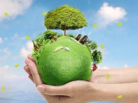 文明实践·时代新风︱利民社区开展“绿色环保”活动