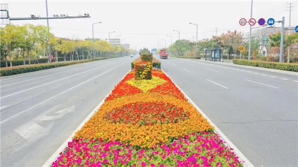 文明实践·时代新风|鲜花绽放、秋景怡人，开发区精心打造花园式园区