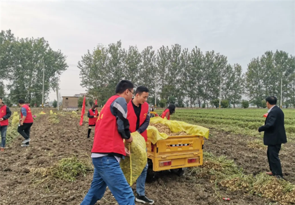 美德之城·志愿同行|灌云南崗：在志愿服務中助力年輕干部成長