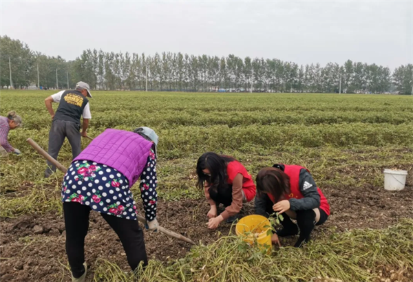 美德之城·志愿同行|灌云南崗：在志愿服務中助力年輕干部成長